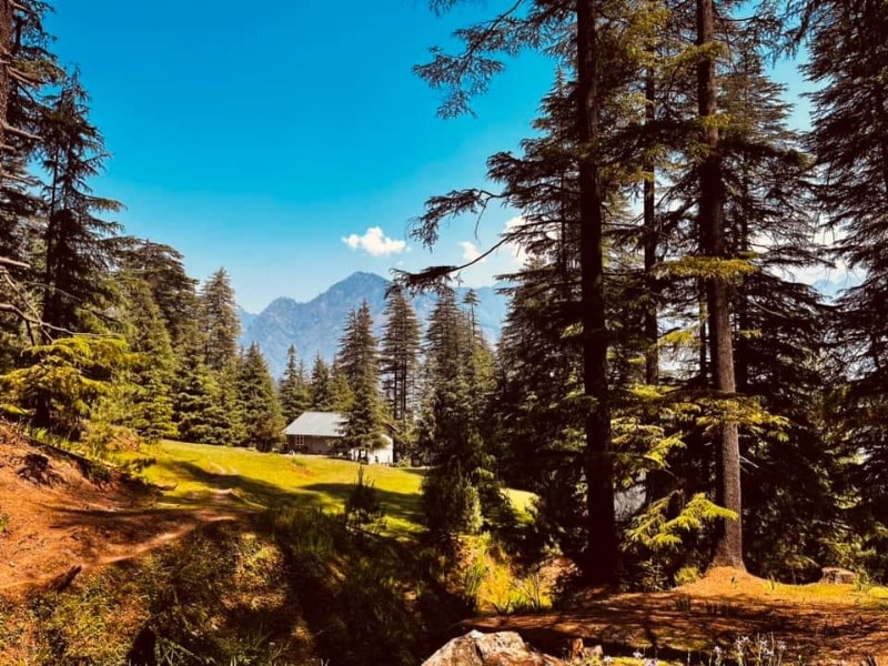 Mountain Memories Consulting Services