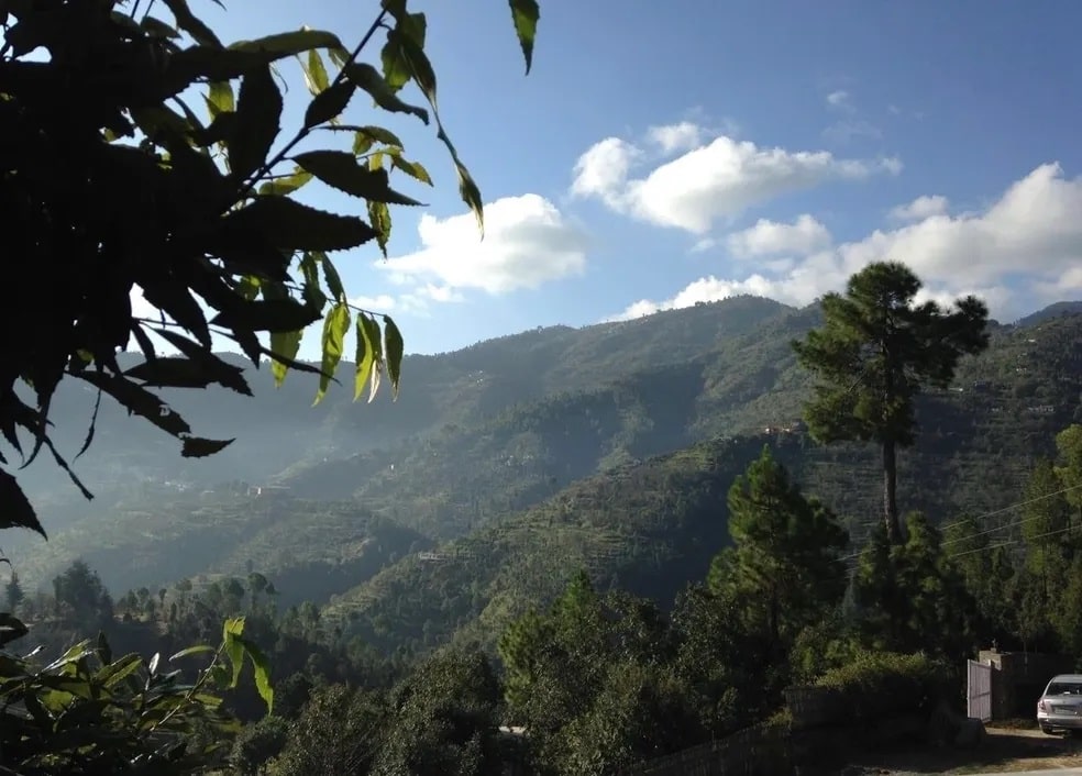 Mountain Memories Consulting Services